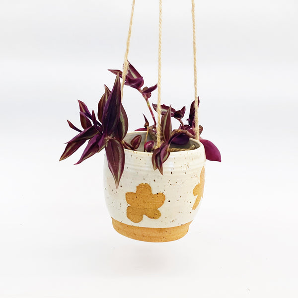 Invisible Daisies Hanging Planter