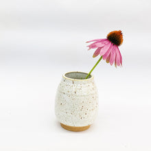 Load image into Gallery viewer, Classique Bud Vase
